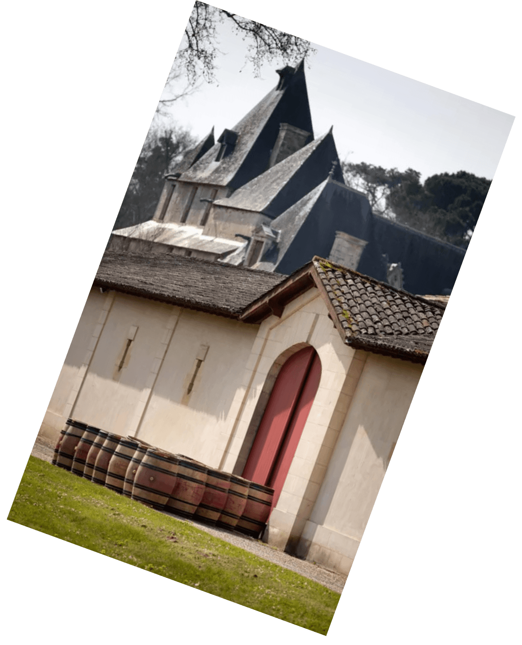 Vinification